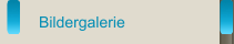 Bildergalerie